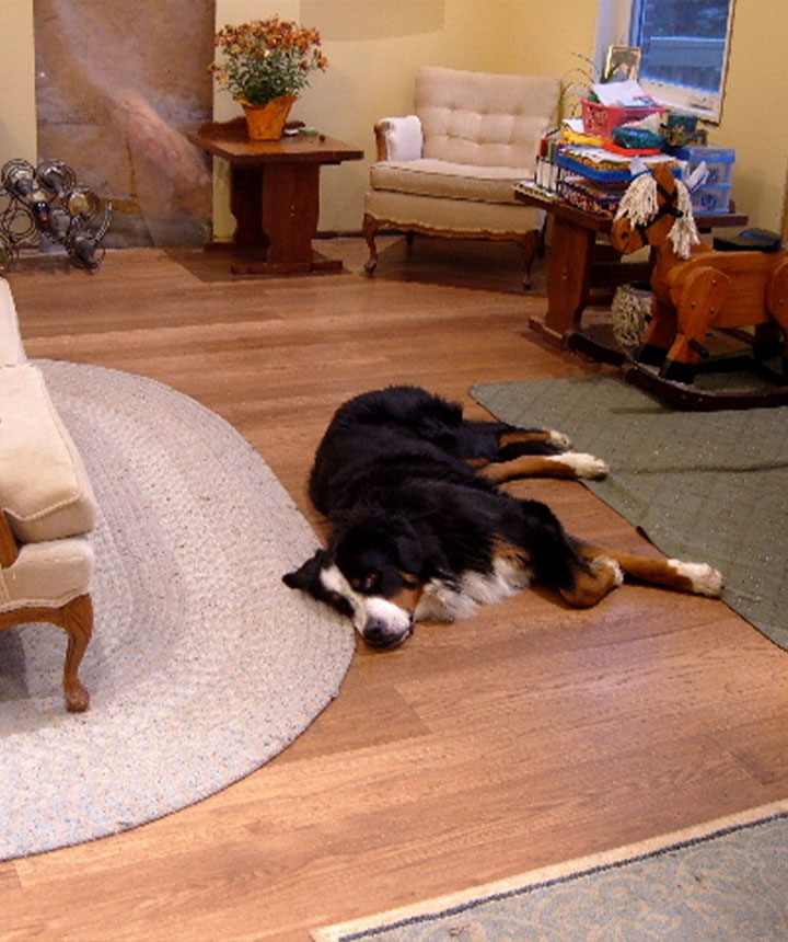 Solid Hardwood Flooring